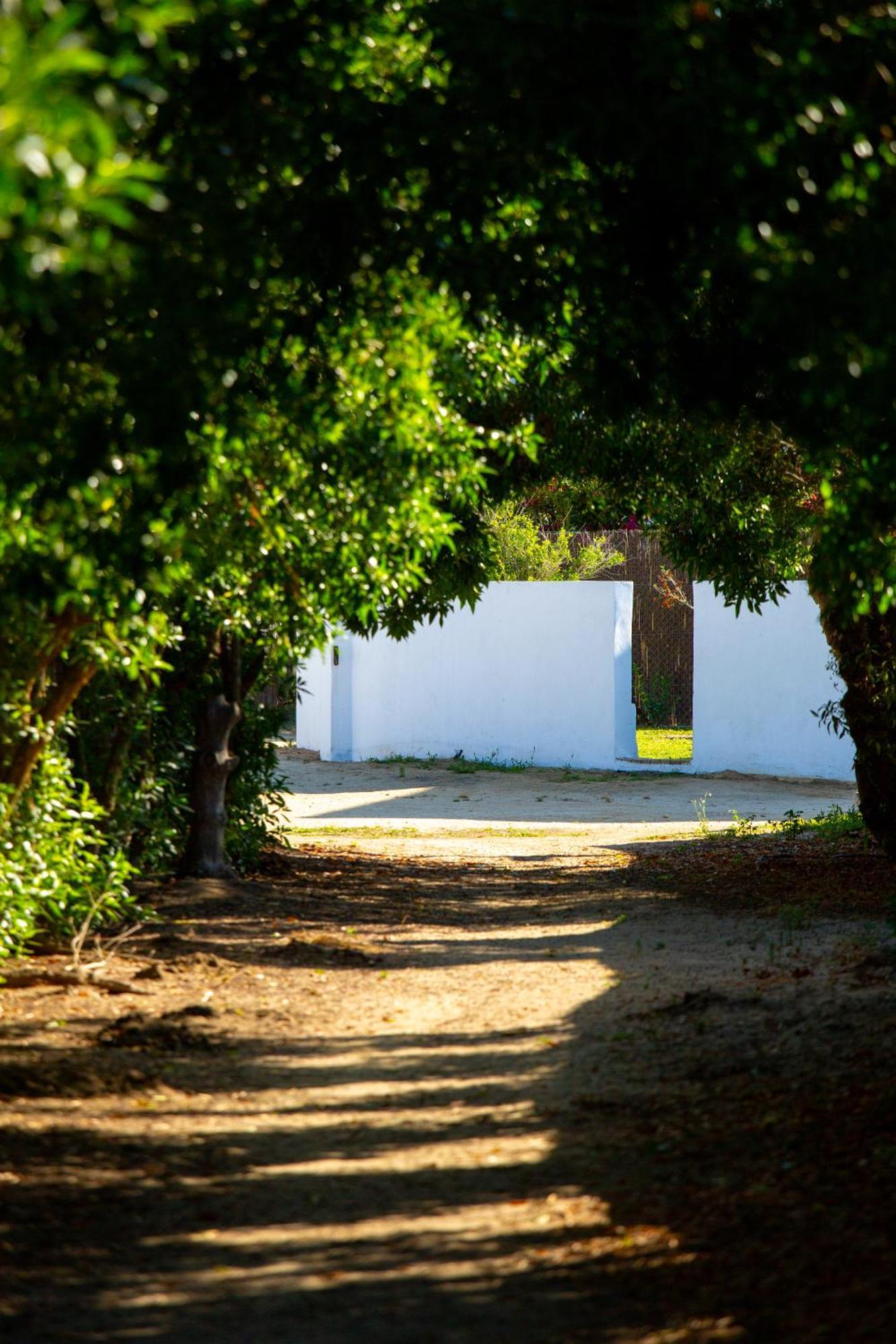 Casara Seis O Casara Siete - Tu Casa A 100M De La Playa De Zahora Guest House Exterior foto